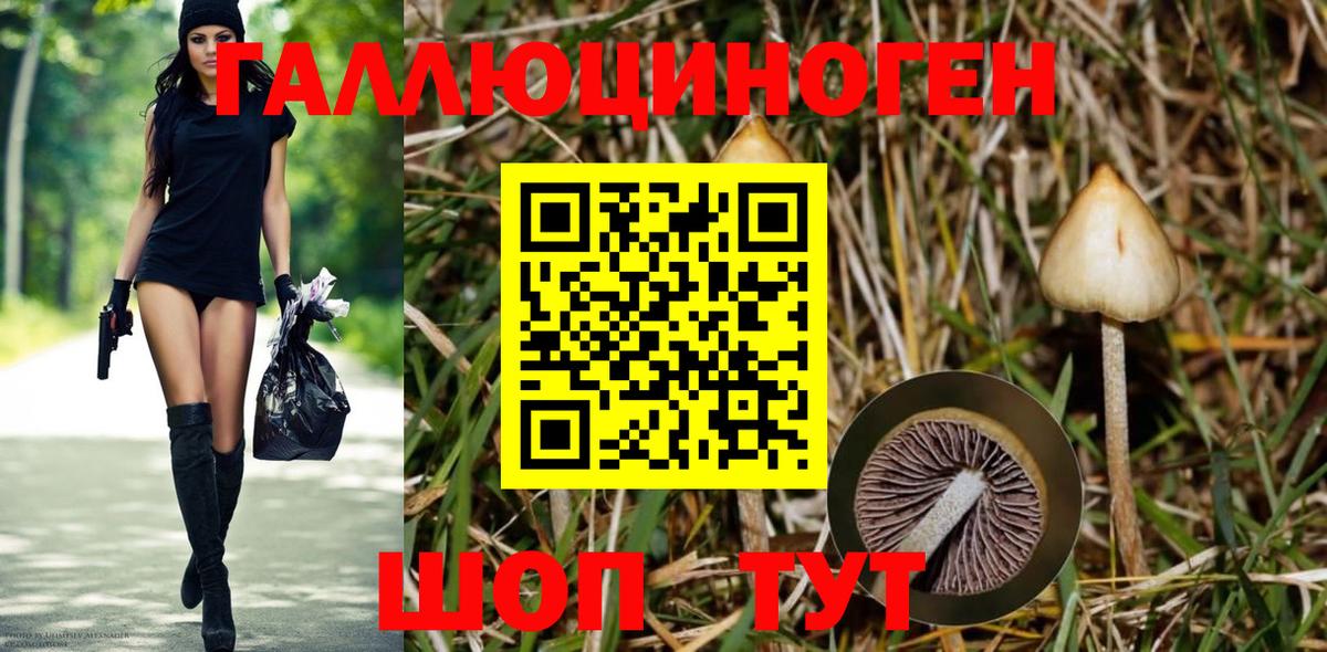 Галлюциногенные грибы мицелий Астрахань