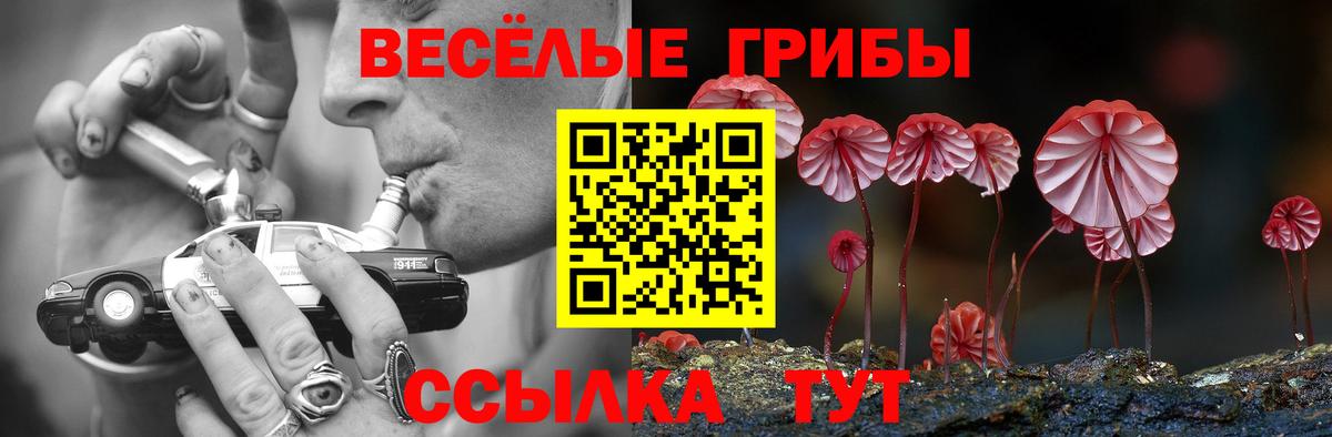 Псилоцибиновые грибы Cubensis  Вход с VPN  Астрахань  Псилоцибиновые грибы ЛСД 